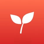 ReelFarm