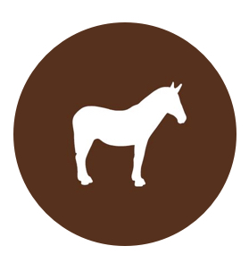 Trace by Sticker Mule