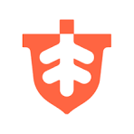 Tutor AI